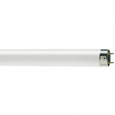 Лампа люминесцентная Philips TL-D G13 36W/54-765 SLV 815849 C0019864