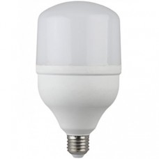Лампа светодиодная ЭРА LED smd POWER 30W-4000-E27 Б0027003