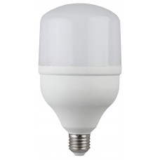 Лампа светодиодная ЭРА LED smd POWER 65W-6500-E27/E40 Б0027924