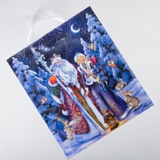 Пакет подарочный полиэтиленовый с петлевой ручкой «Дед Мороз», 40*45 см 4521633